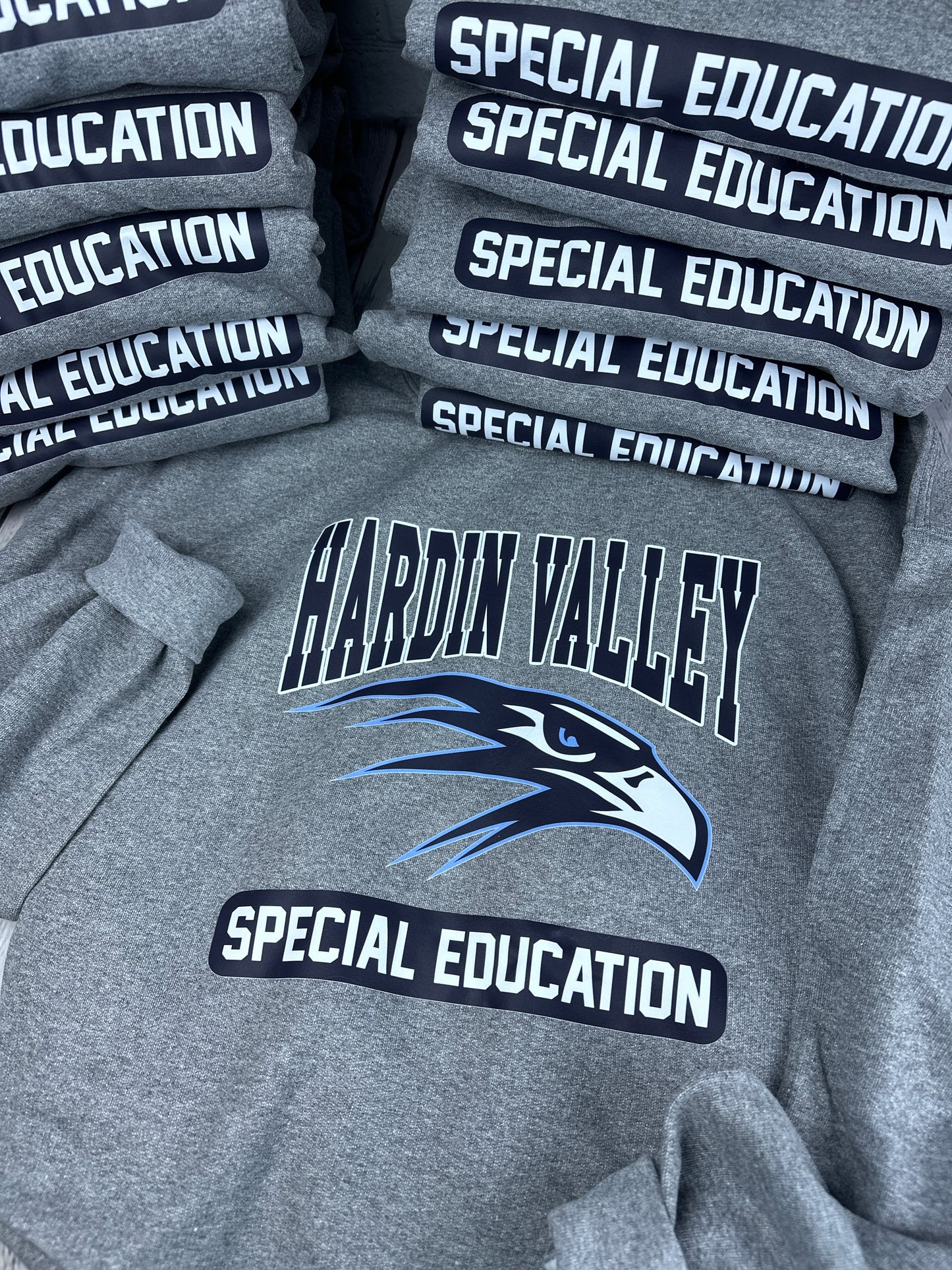 Hardin Valley Academy Special Education